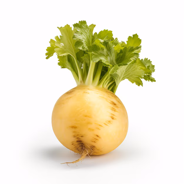 Репа желтая